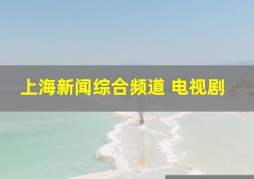 上海新闻综合频道 电视剧